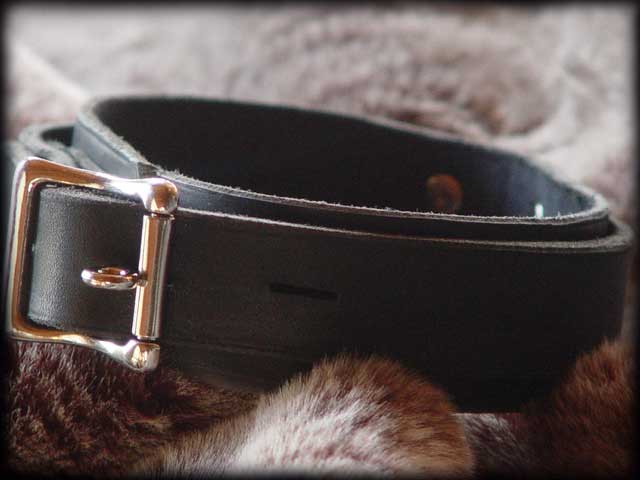 locking bondage collar